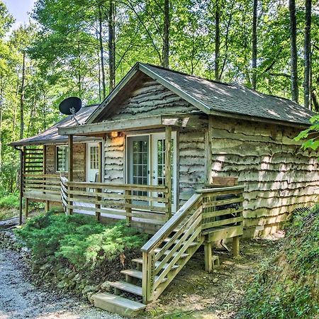 Cozy The Woodshop Cabin With Deck And Forest Views! ロビンズビル エクステリア 写真
