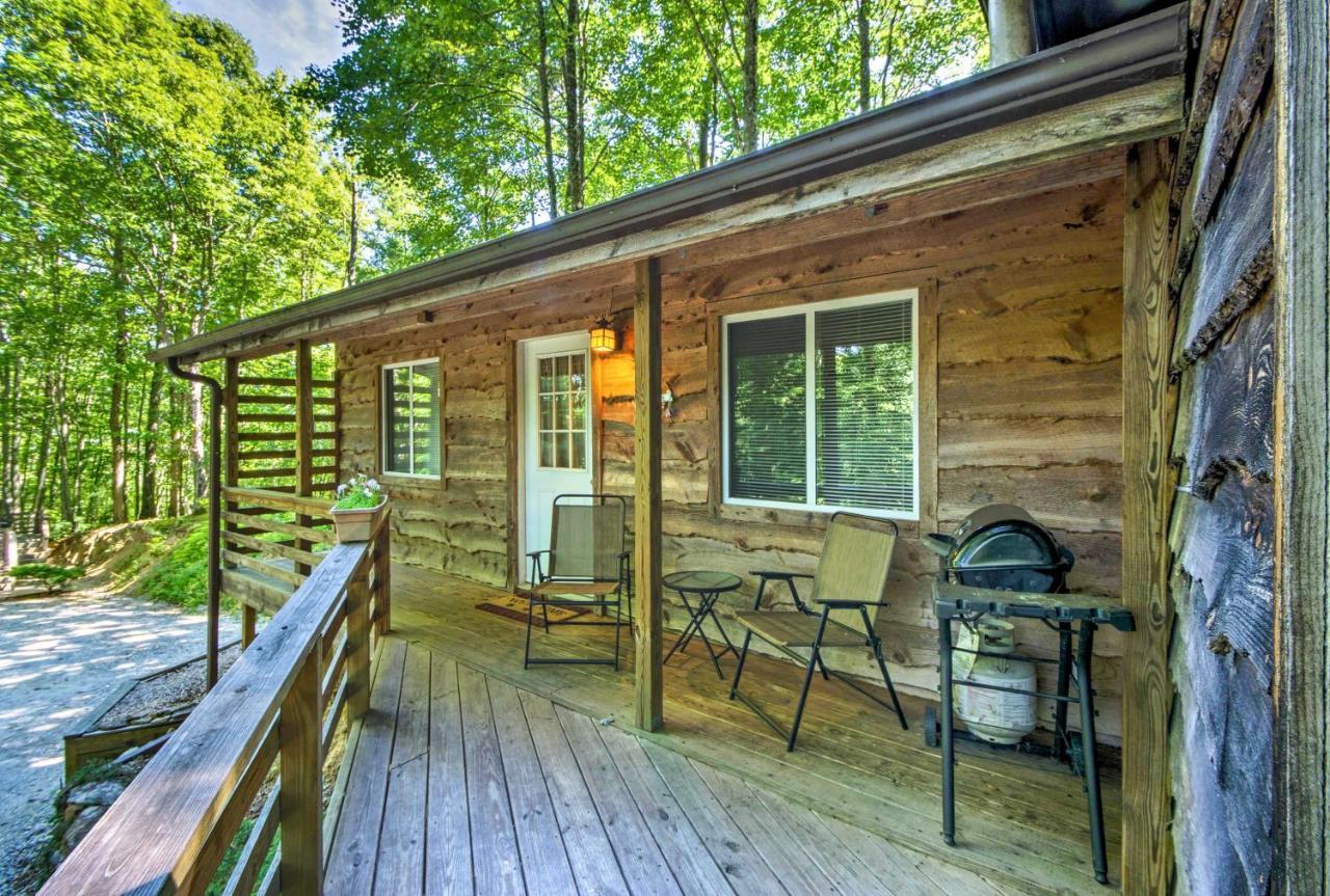 Cozy The Woodshop Cabin With Deck And Forest Views! ロビンズビル エクステリア 写真