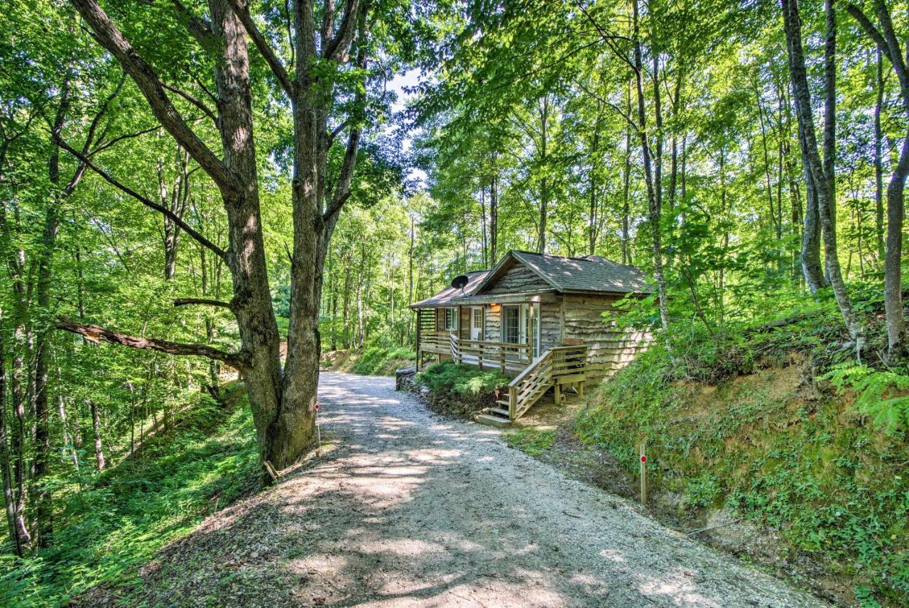 Cozy The Woodshop Cabin With Deck And Forest Views! ロビンズビル エクステリア 写真